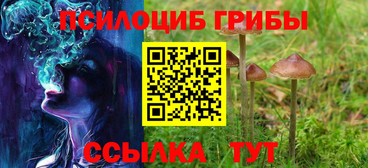 Вольск  Псилоцибиновые грибы мицелий  Галлюциногенные грибы прущие грибы  Вход с VPN 