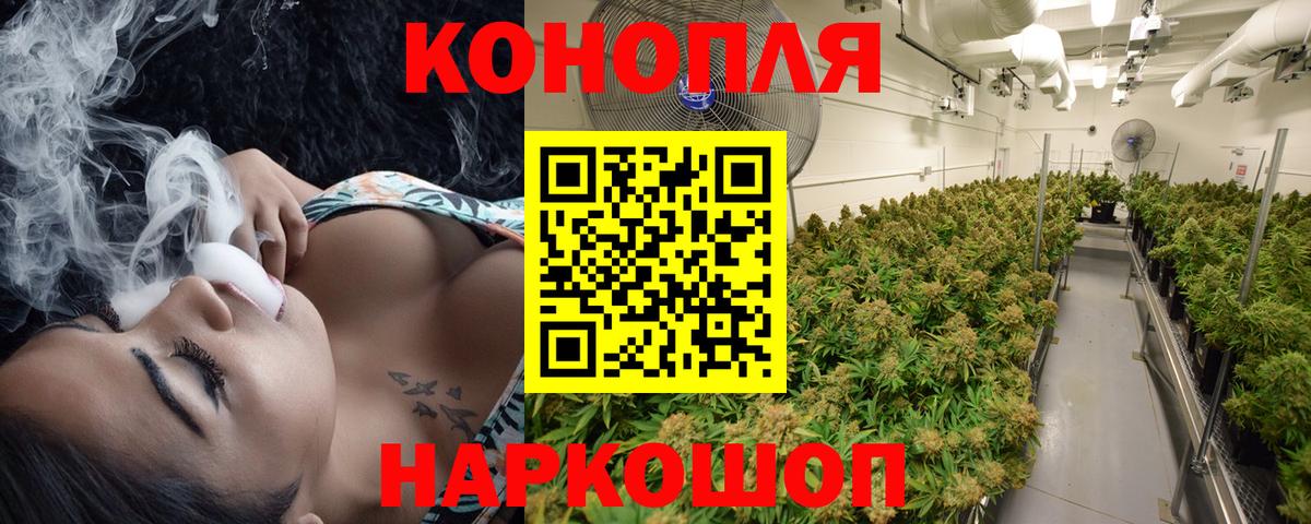 Бошки марихуана семена Вольск